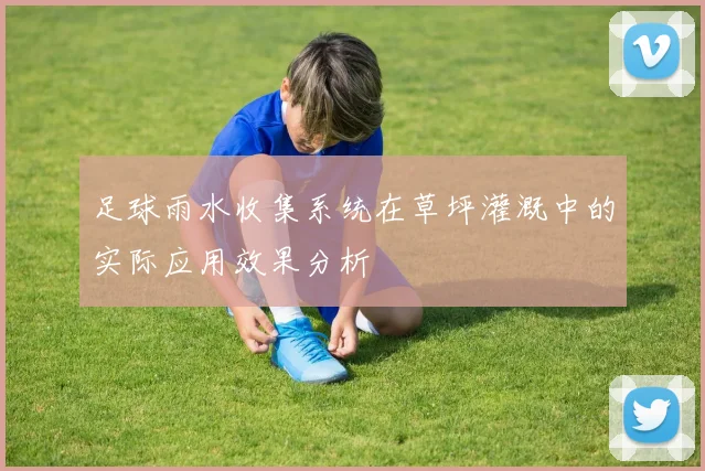 足球雨水收集系统在草坪灌溉中的实际应用效果分析