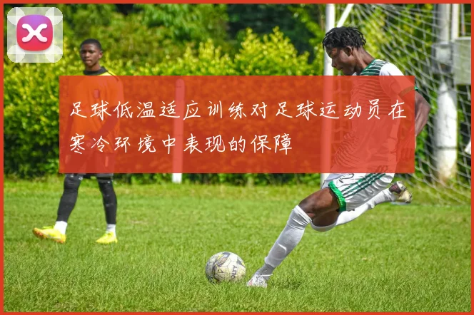 足球低温适应训练对足球运动员在寒冷环境中表现的保障