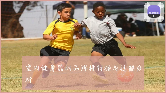 室内健身器材品牌排行榜与性能分析