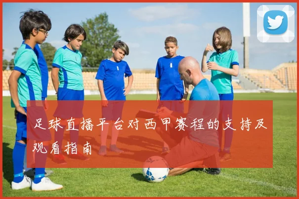 足球直播平台对西甲赛程的支持及观看指南