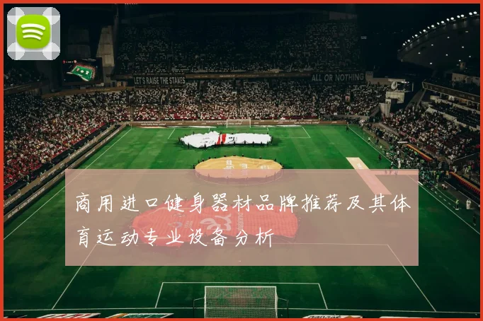 商用进口健身器材品牌推荐及其体育运动专业设备分析
