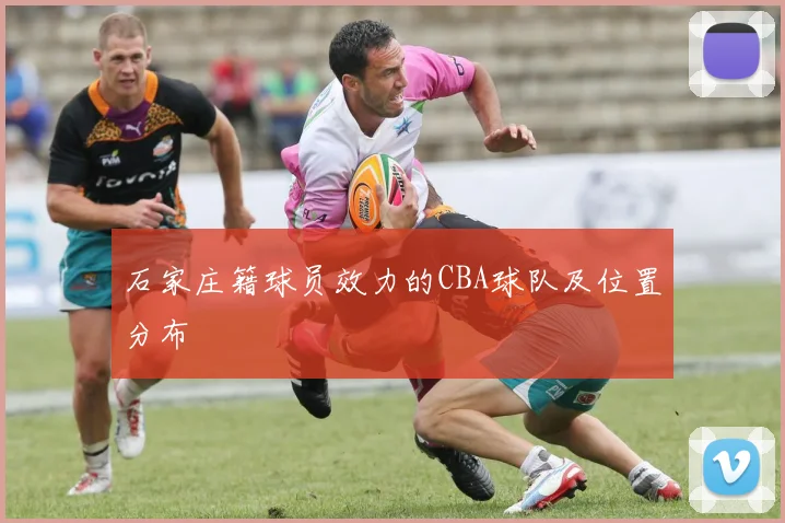 石家庄籍球员效力的CBA球队及位置分布