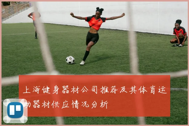 上海健身器材公司推荐及其体育运动器材供应情况分析