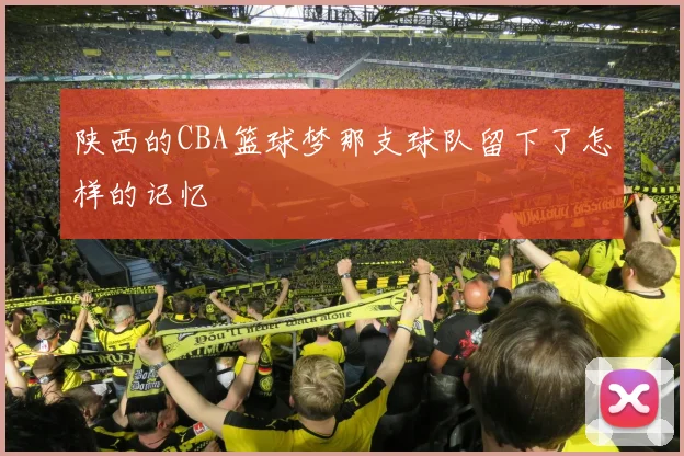 陕西的CBA篮球梦那支球队留下了怎样的记忆