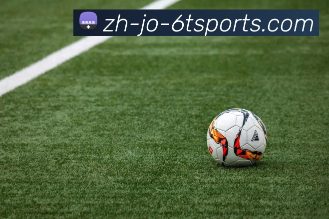 6T体育平台生态图