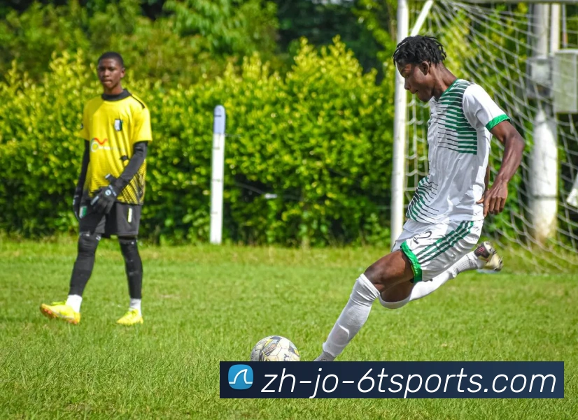 6T体育APP 封面图